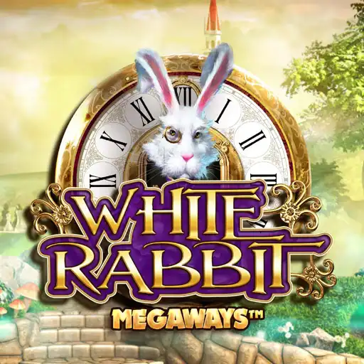 White Rabbit