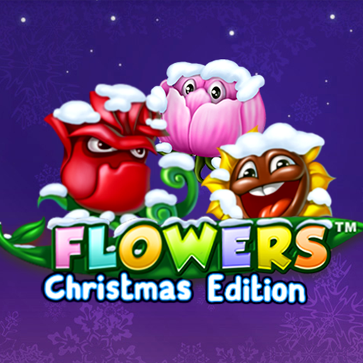 Flowers Christmas Edition