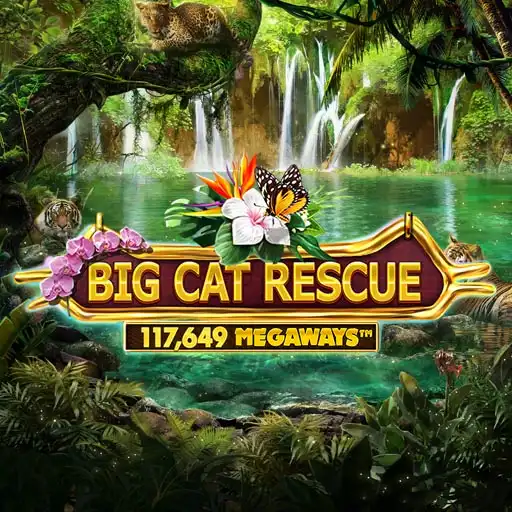 Big Cat Rescue Megaways