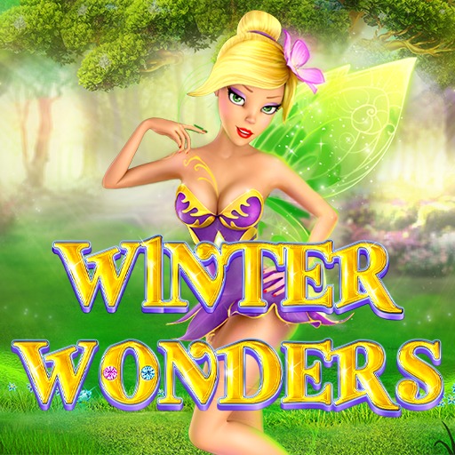 Winter Wonders