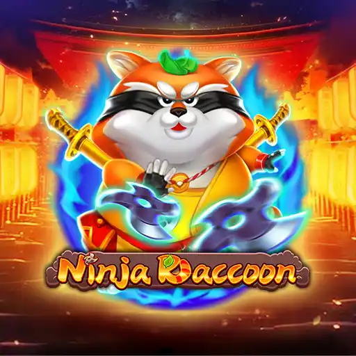 Ninja Raccoon