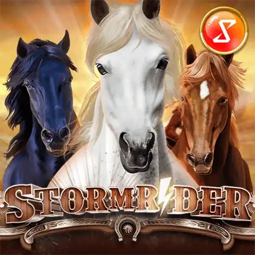 Storm Rider