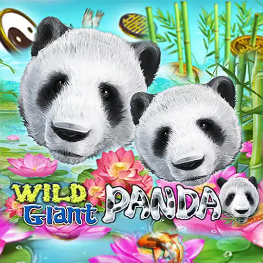 Wild Giant Panda