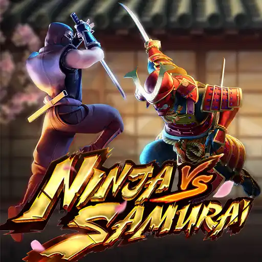 Ninja vs Samurai