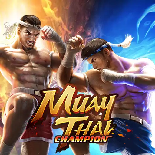 Muay Thai Champion