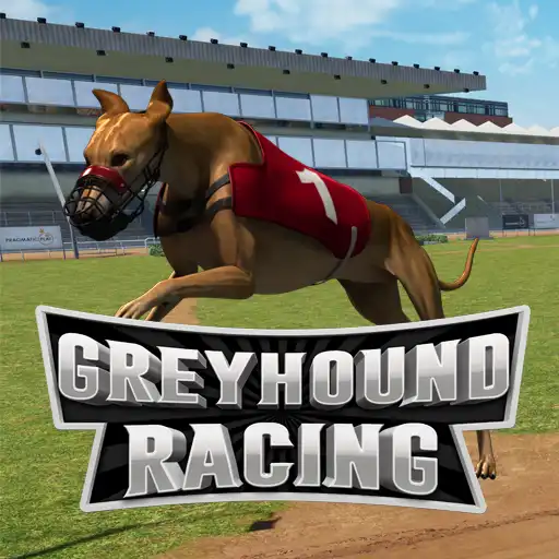 Greyhound Racing