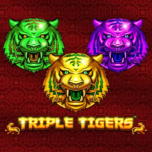 Triple Tigers