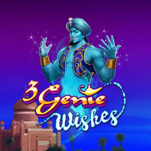 3 Genie Wishes