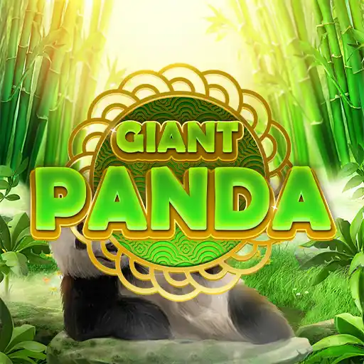 Giant Panda